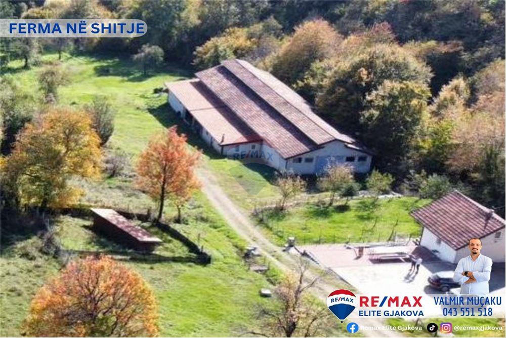 Fattoria in vendita con una superficie totale di 66 ari, nel villaggio di morinë, vicino al confine kosovo-albania