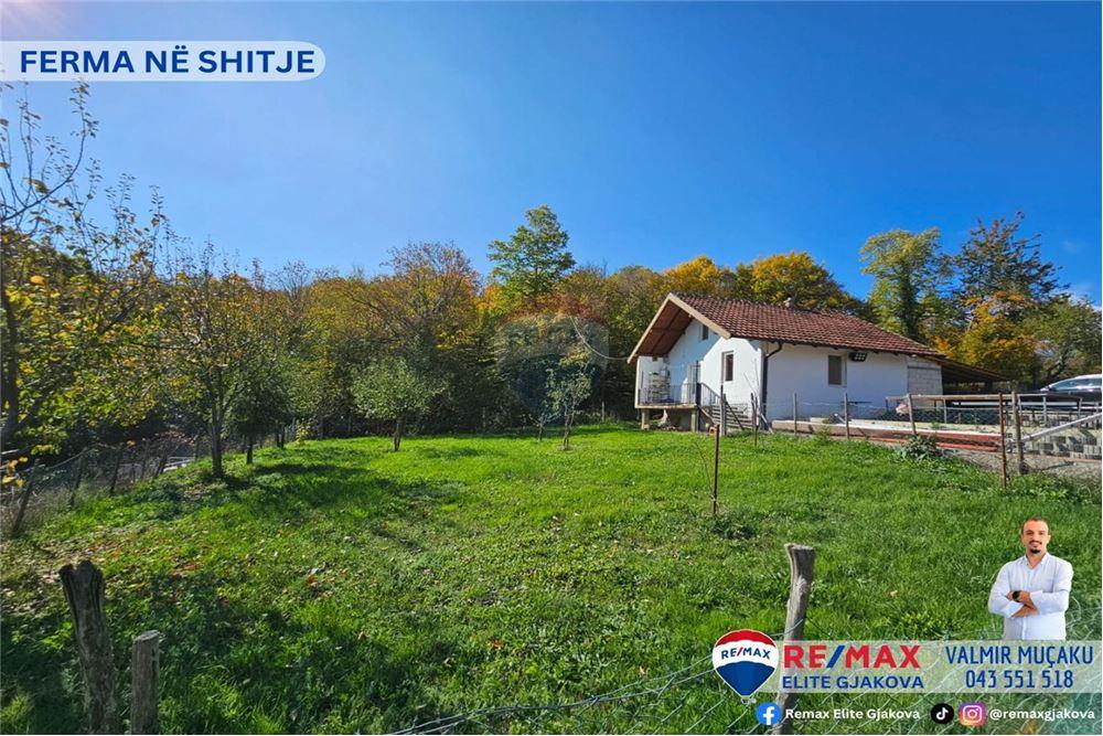 Ofrohet për #shitje ferma me sipërfaqe totale prej 66 ari, në fshatin morinë, afër pikës kufitare kosovë-shqipëri.