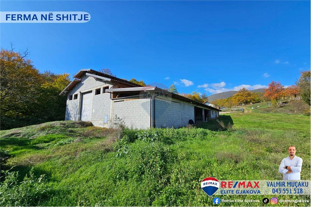 Ofrohet për #shitje ferma me sipërfaqe totale prej 66 ari, në fshatin morinë, afër pikës kufitare kosovë-shqipëri.