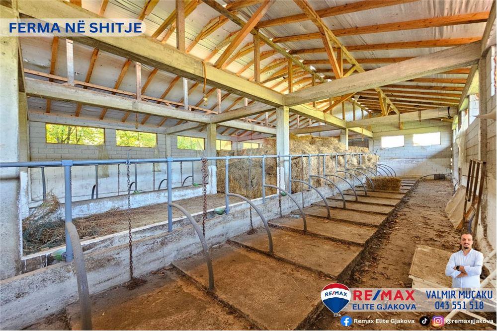 Ofrohet për #shitje ferma me sipërfaqe totale prej 66 ari, në fshatin morinë, afër pikës kufitare kosovë-shqipëri.