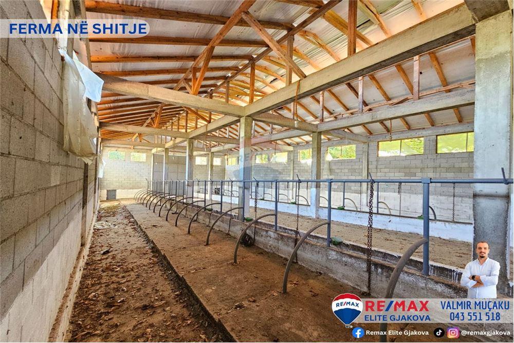 Ofrohet për #shitje ferma me sipërfaqe totale prej 66 ari, në fshatin morinë, afër pikës kufitare kosovë-shqipëri.