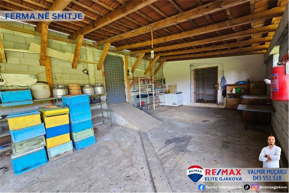Ofrohet për #shitje ferma me sipërfaqe totale prej 66 ari, në fshatin morinë, afër pikës kufitare kosovë-shqipëri.
