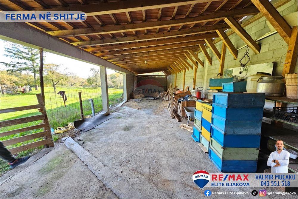 Ofrohet për #shitje ferma me sipërfaqe totale prej 66 ari, në fshatin morinë, afër pikës kufitare kosovë-shqipëri.