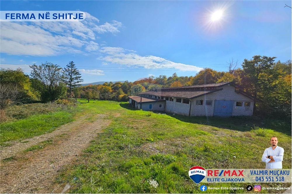 Ofrohet për #shitje ferma me sipërfaqe totale prej 66 ari, në fshatin morinë, afër pikës kufitare kosovë-shqipëri.