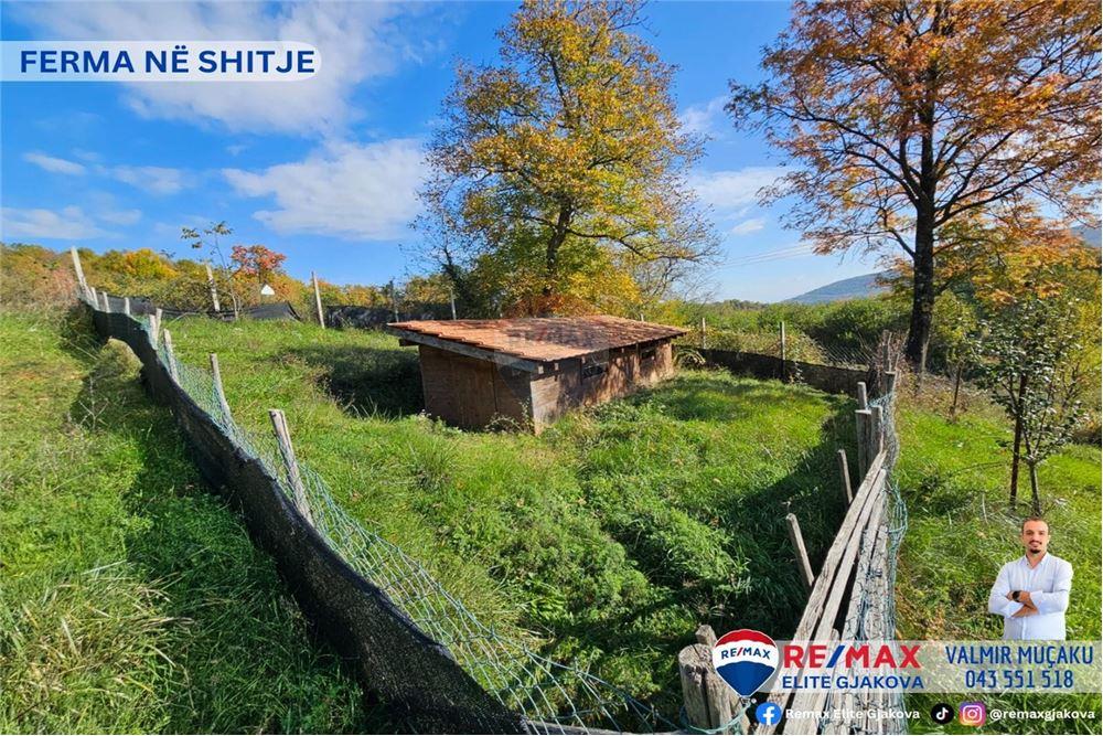 Fattoria in vendita con una superficie totale di 66 ari, nel villaggio di morinë, vicino al confine kosovo-albania (4)