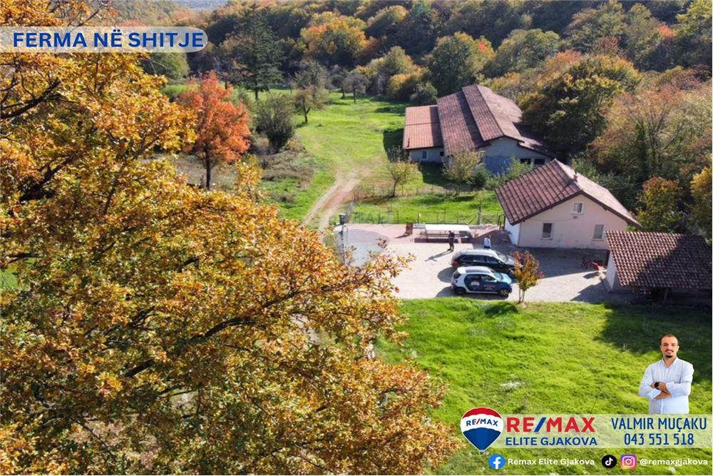 Fattoria in vendita con una superficie totale di 66 ari, nel villaggio di morinë, vicino al confine kosovo-albania (5)