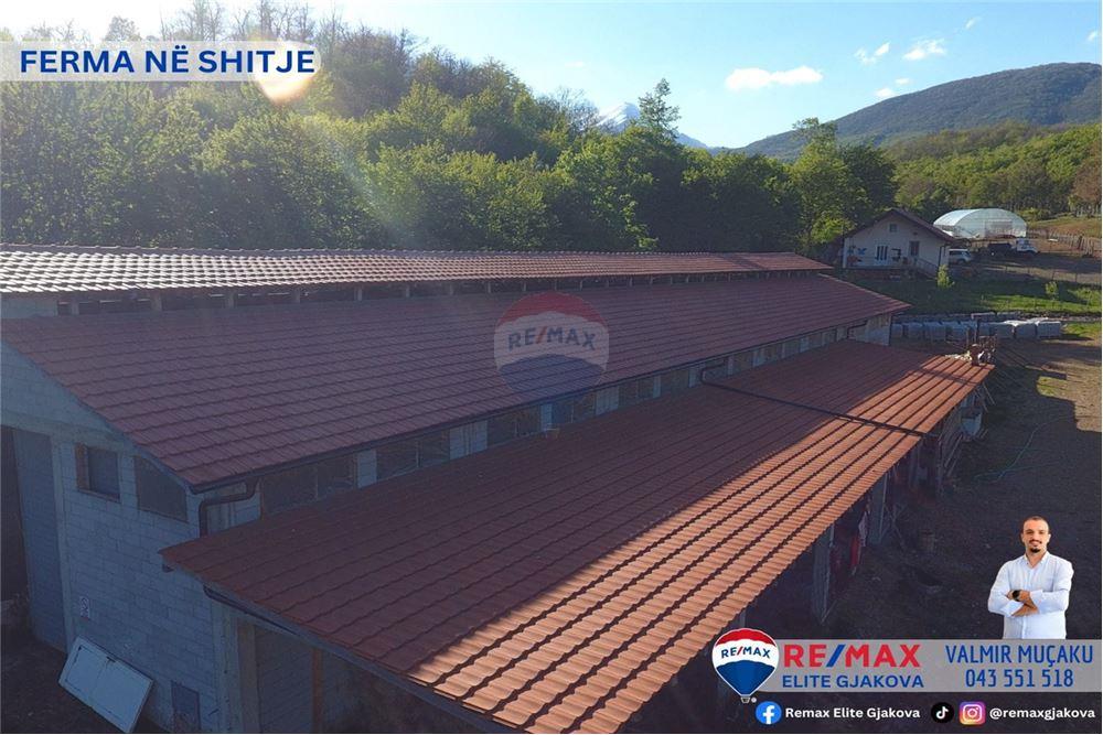 Fattoria in vendita con una superficie totale di 66 ari, nel villaggio di morinë, vicino al confine kosovo-albania (7)