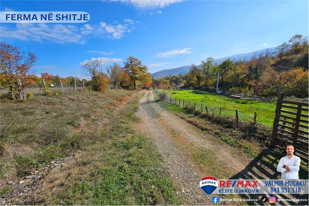 Ofrohet për #shitje ferma me sipërfaqe totale prej 66 ari, në fshatin morinë, afër pikës kufitare kosovë-shqipëri.