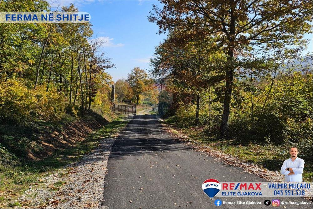 Ofrohet për #shitje ferma me sipërfaqe totale prej 66 ari, në fshatin morinë, afër pikës kufitare kosovë-shqipëri.