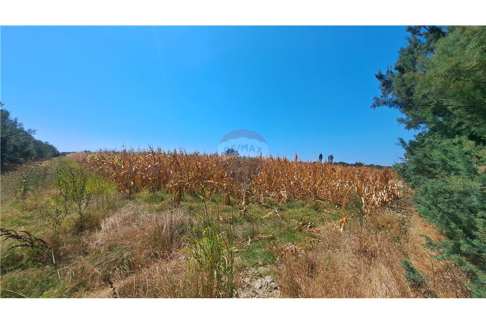 Terreno agricolo in vendita 8.000 m² | vicino al villaggio di aliban | solo 17 €/m² (4)
