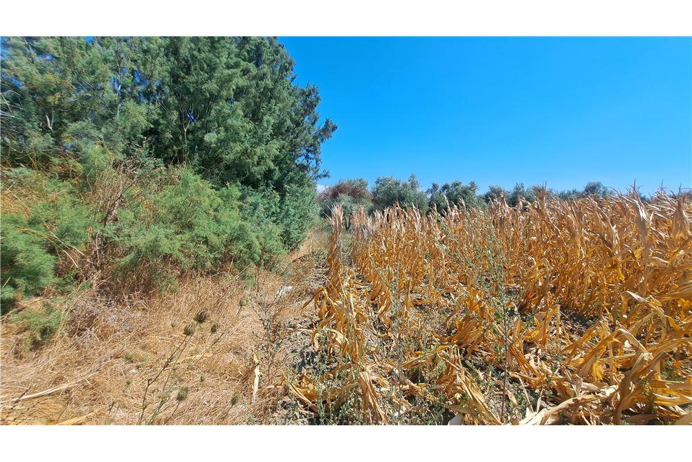 Terreno agricolo in vendita 8.000 m² | vicino al villaggio di aliban | solo 17 €/m² (5)