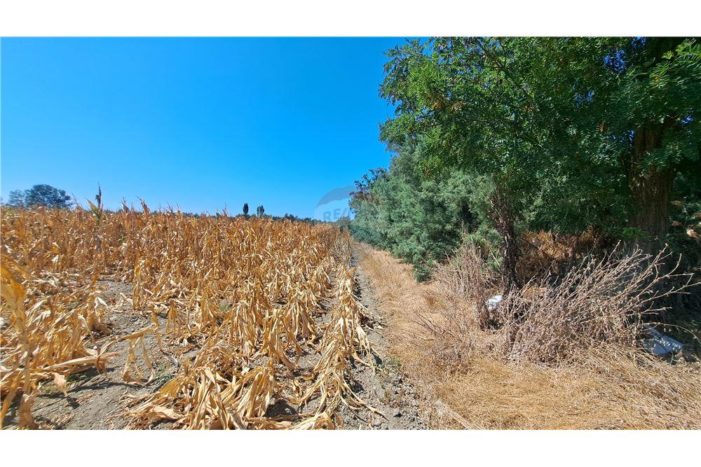 Terreno agricolo in vendita 8.000 m² | vicino al villaggio di aliban | solo 17 €/m² (6)