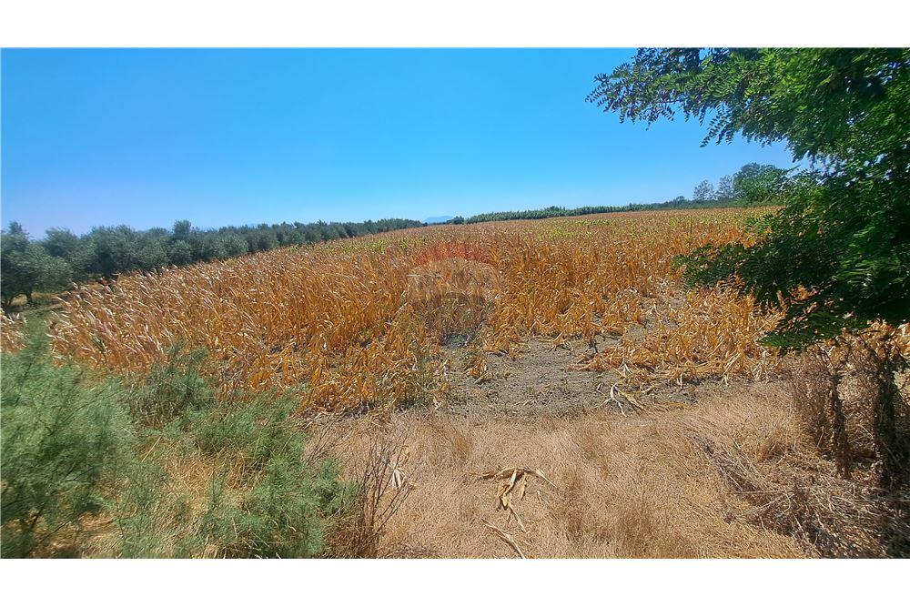 Terreno agricolo in vendita 8.000 m² | vicino al villaggio di aliban | solo 17 €/m² (7)