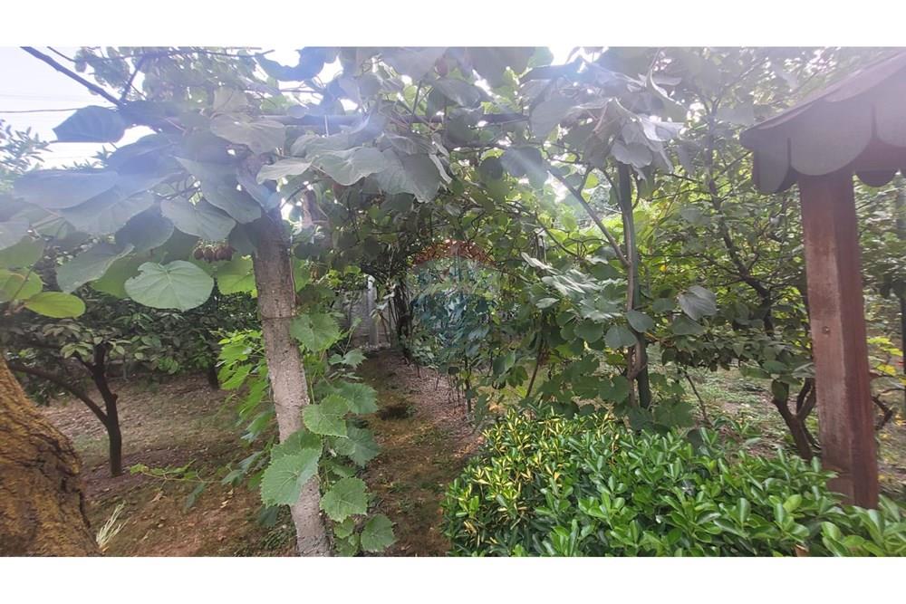 À vendre : Une villa modeste de 1 étage avec grenier meublée (3)