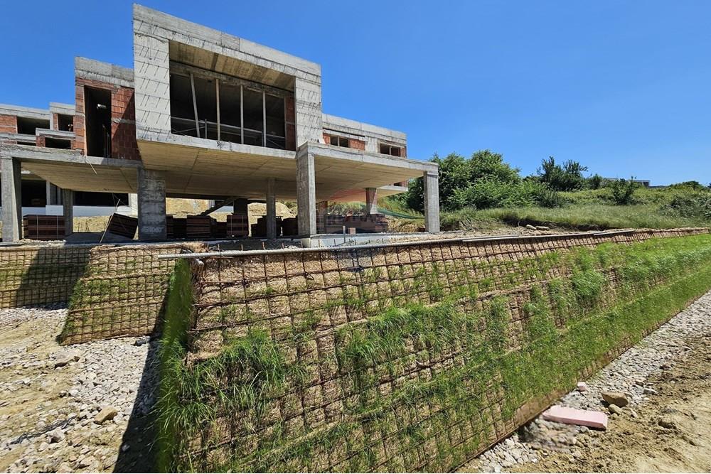 Liqeni i farkës, Tirana