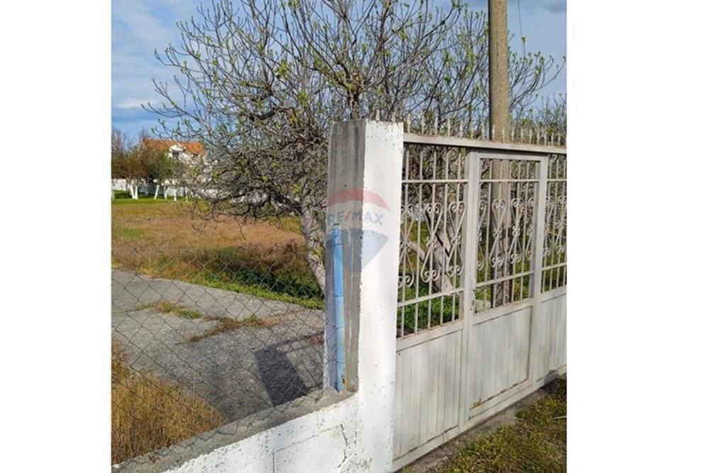 Velipojë, Shkodër (2)
