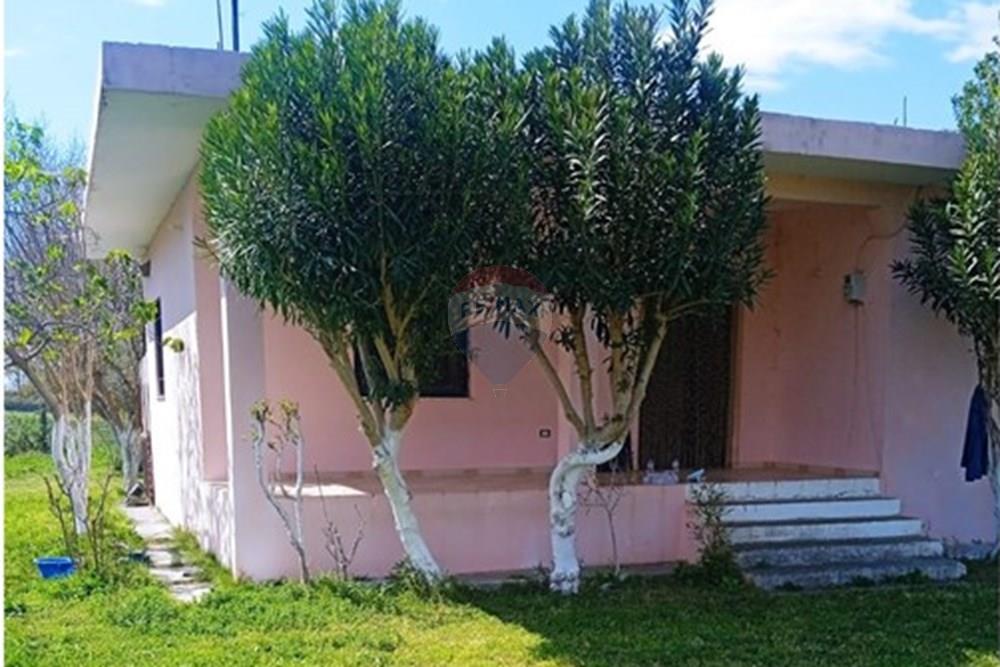 Velipojë, Shkodër (3)