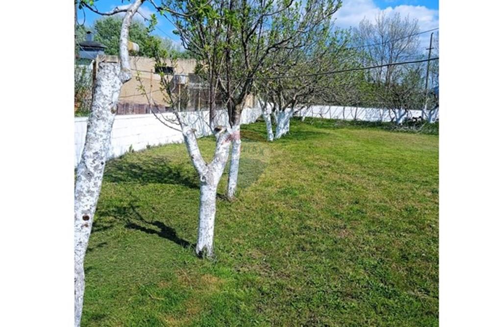 Velipojë, Shkodër (4)