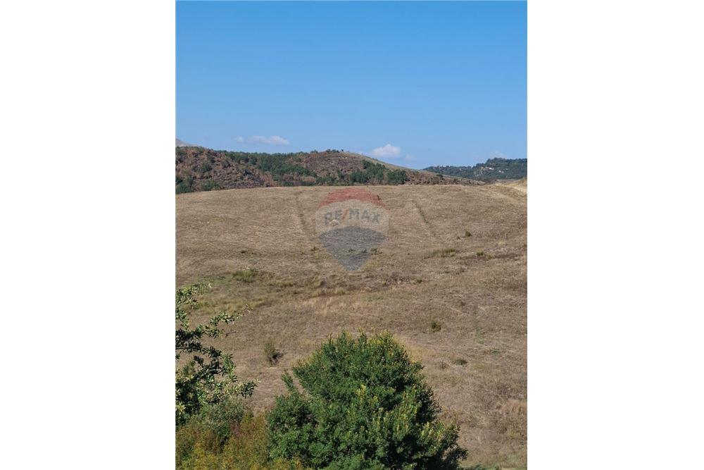 Tierra agrícola en venta en el pueblo de vajzë, 7000 m² junto a la carretera