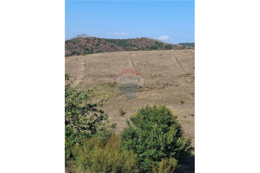 Tierra agrícola en venta en el pueblo de vajzë, 7000 m² junto a la carretera (2)