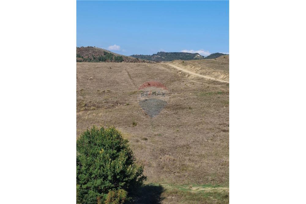 Tierra agrícola en venta en el pueblo de vajzë, 7000 m² junto a la carretera (3)