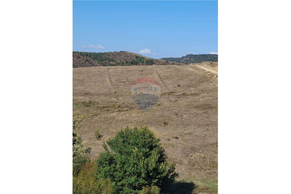 Tierra agrícola en venta en el pueblo de vajzë, 7000 m² junto a la carretera (4)
