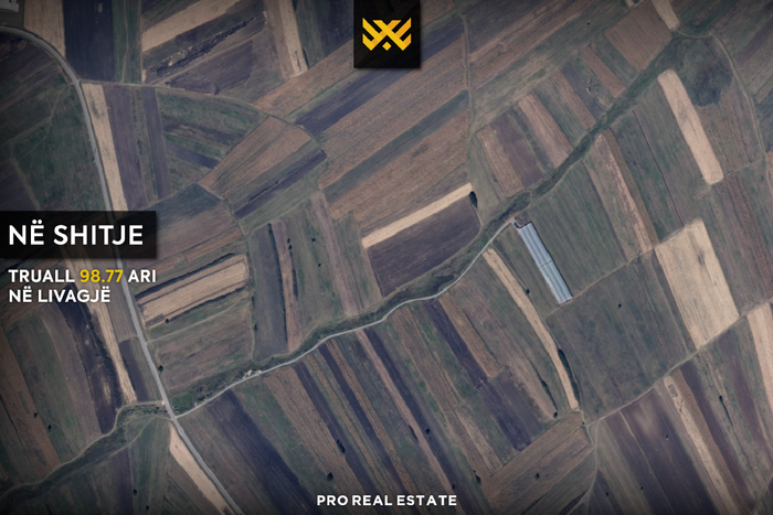 Terreno di 98,77 ari in vendita a livagjë