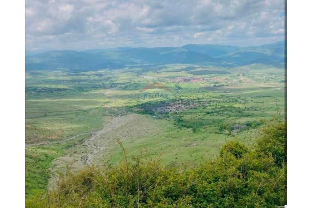 Rruga pali prifti, rehovë