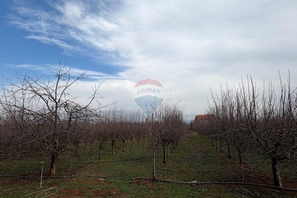 Casa com fazenda funcional à venda em bregu i zi, Lipjan! (7)