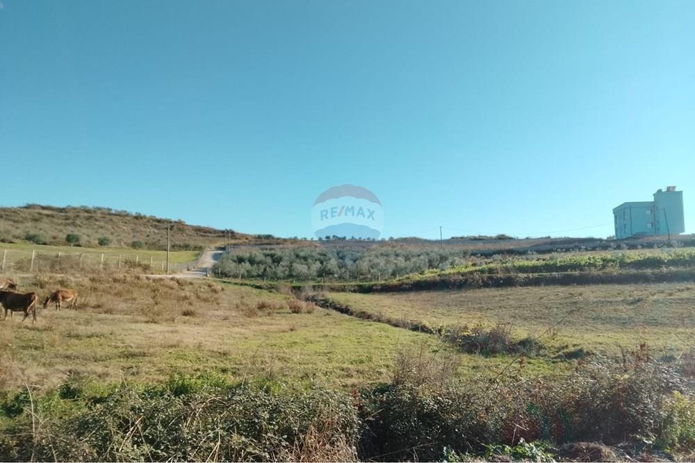 Toka/godina liegt im gebiet der lalzit-bucht. (4)