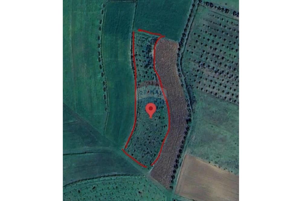 In vendita, terreno, manëz, durazzo. (2)