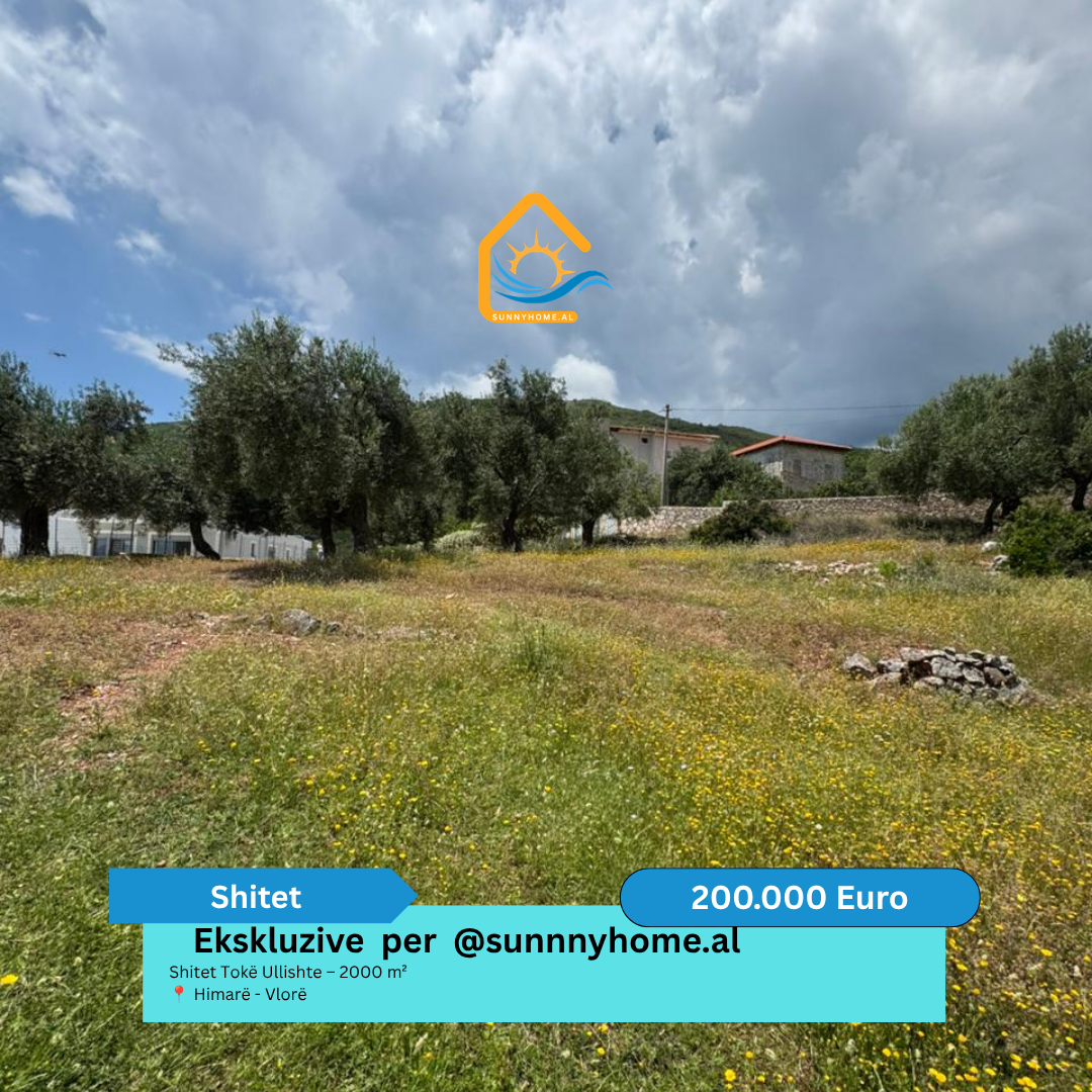 ‼️ ekskluzive ne vlore per sunnyhome.al ‼️ shitet tokë ullishte – 2000 m² himarë – Vlorë cmimi: 200.000 euro