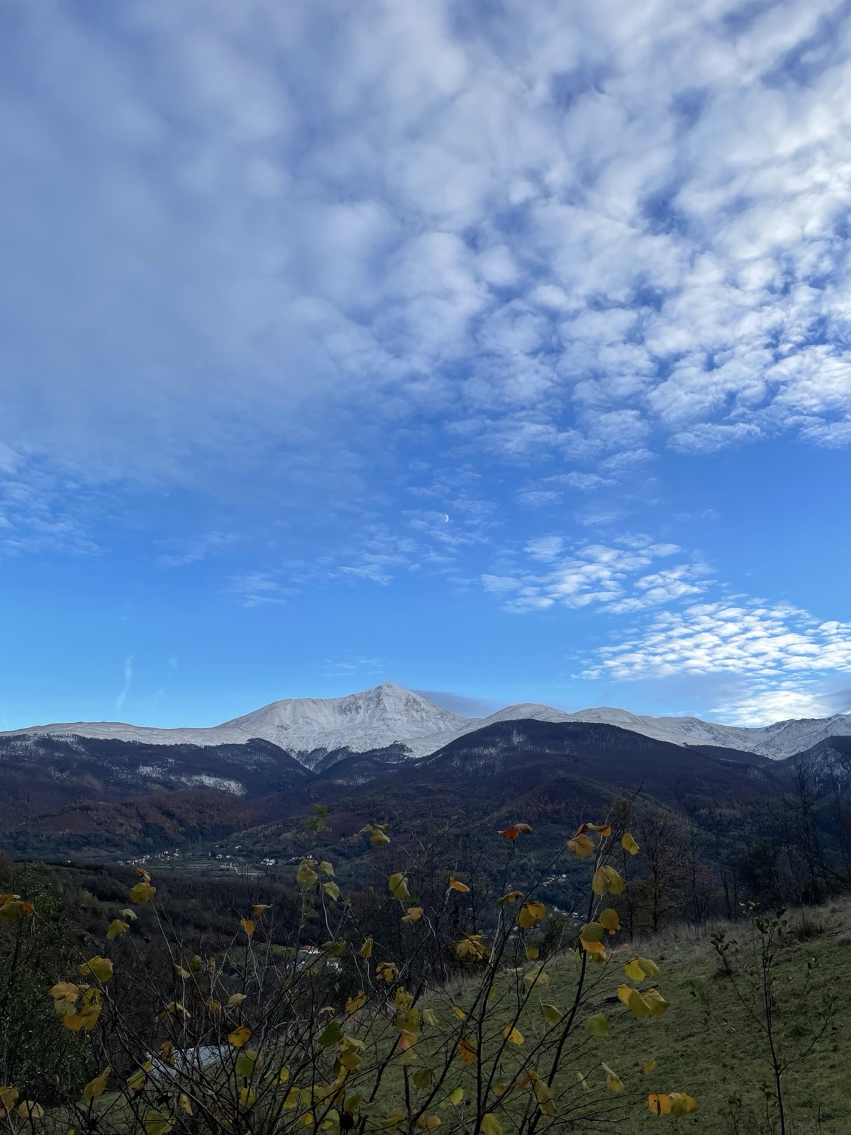 Terrain à vendre :