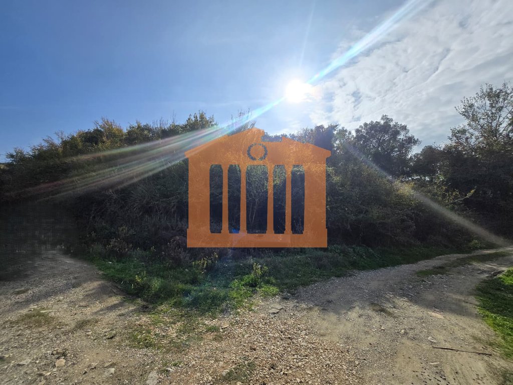 Toke are ne golem, à vendre!
