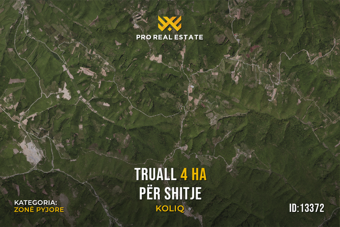 Truall 4 ha për #shitje në koliq