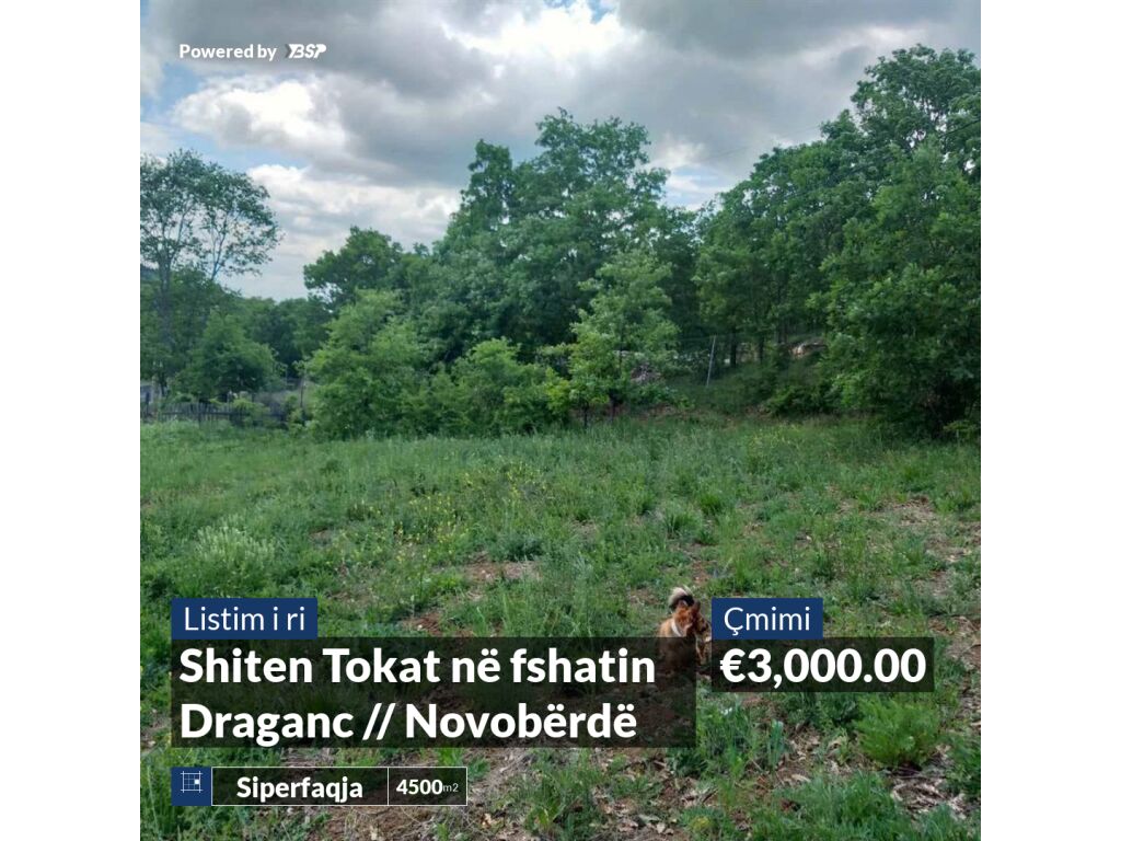 Terrenos en venta en el pueblo de draganc // novobrdo