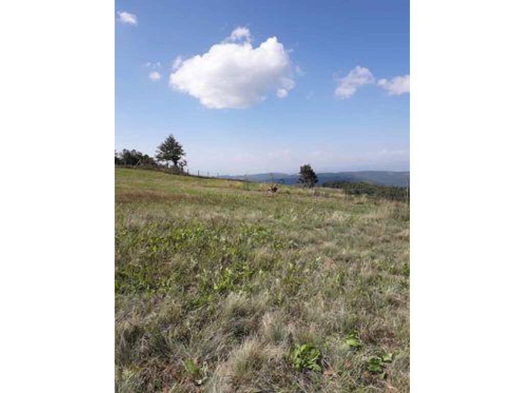Terreno en venta 2 ha en el pueblo de zllashë, municipio de Prishtinë
