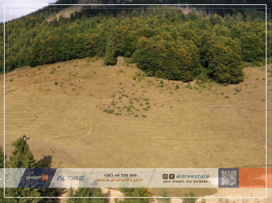 99,000 €, në shitje rugovë, Pejë, kosova