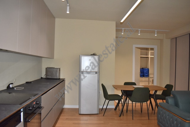 Moderne zweizimmerwohnung zur miete in der durresi-straße in Tirana, albanien (6)