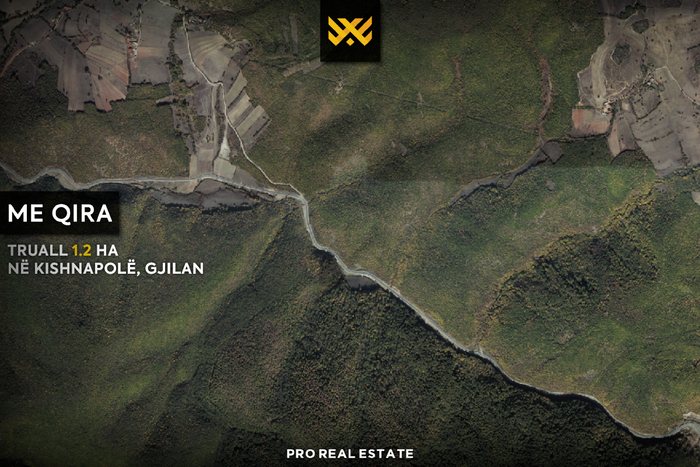 Terreno di 1,2 ha in #affitto a kishnapolë.