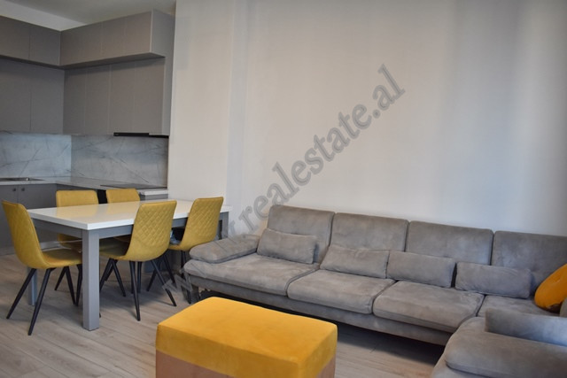 One bedroom apartment for rent at Komuna e Parisit area in Tirana, albania (3)