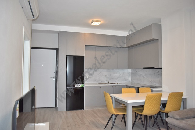 One bedroom apartment for rent at Komuna e Parisit area in Tirana, albania (4)