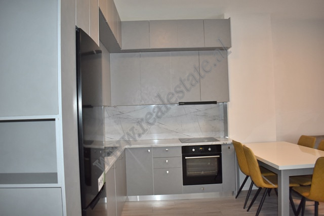 One bedroom apartment for rent at Komuna e Parisit area in Tirana, albania (5)