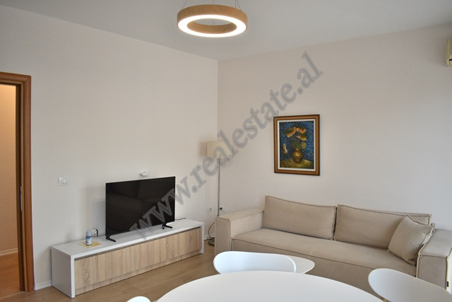 Appartement une chambre à louer près du centre de Tirana, albanie