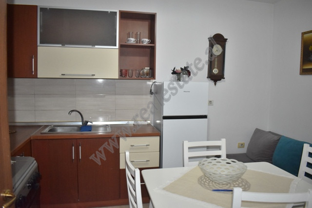 Einzimmerwohnung zum verkauf in der nähe der pjeter budi straße in Tirana, albanien (5)