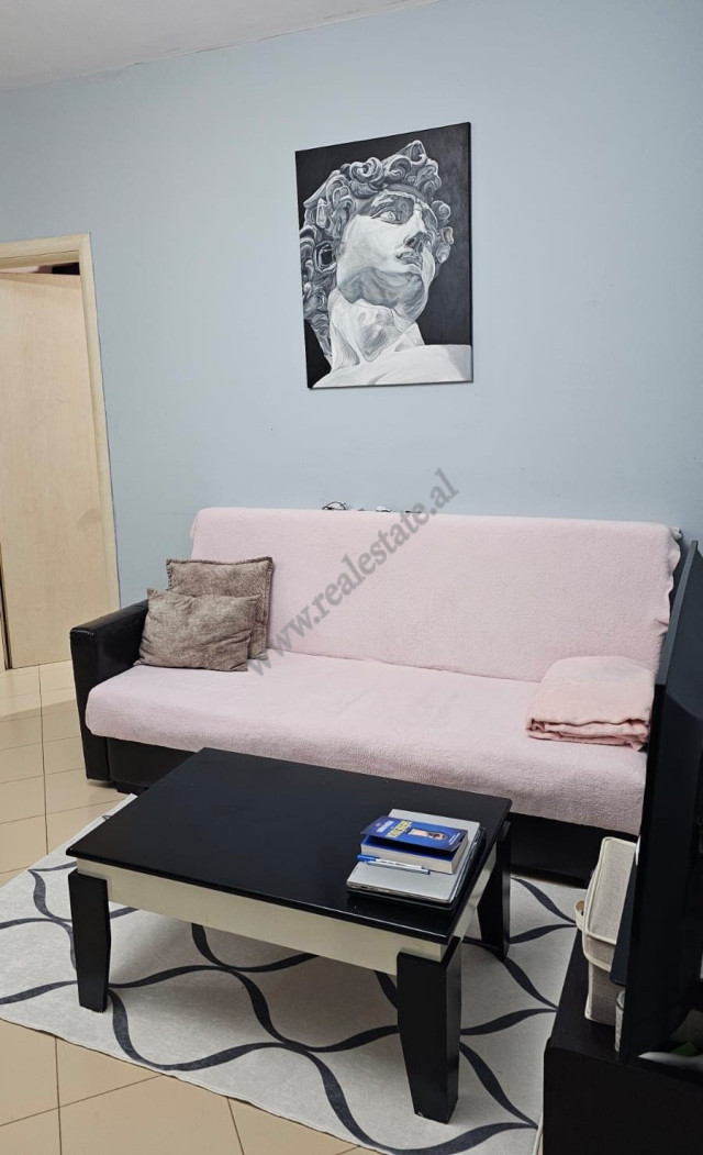 Einzimmerwohnung zur miete in der nähe des künstlichen sees in Tirana, albanien