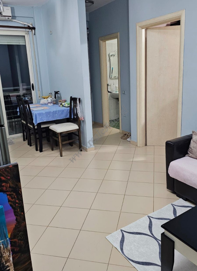 Einzimmerwohnung zur miete in der nähe des künstlichen sees in Tirana, albanien (2)