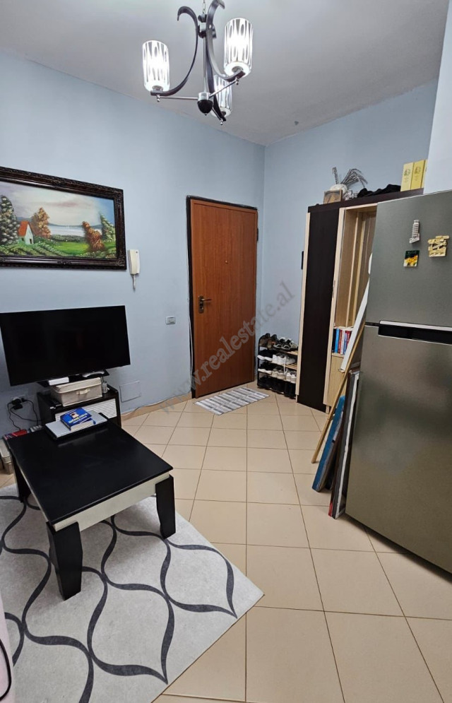Einzimmerwohnung zur miete in der nähe des künstlichen sees in Tirana, albanien (3)