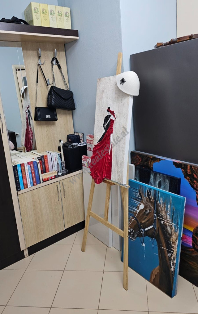 Einzimmerwohnung zur miete in der nähe des künstlichen sees in Tirana, albanien (4)
