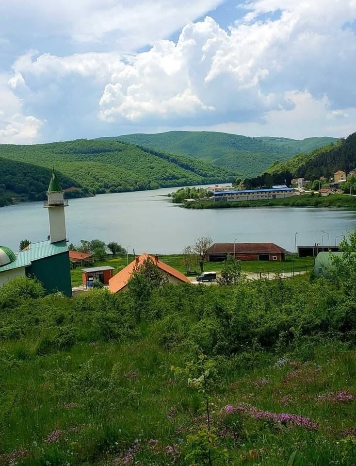 Shiten parcelat në orllan
